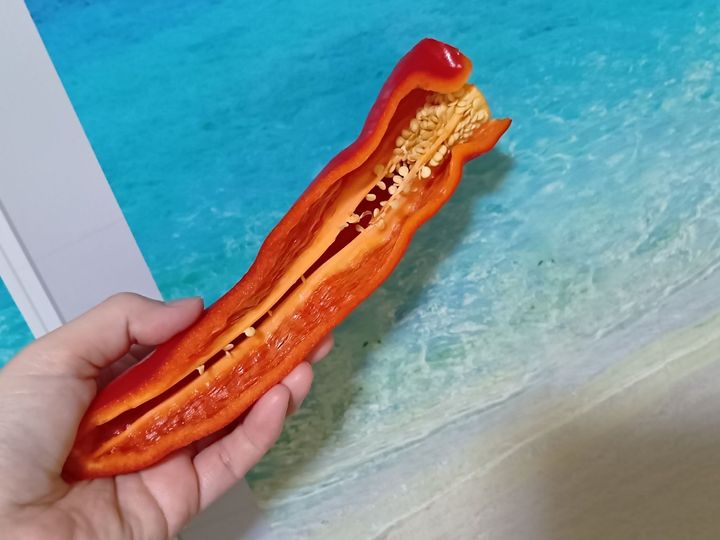 今が旬！変わりパプリカにハマる！道の駅＆ベランダ菜園で楽しむ美味しいパプリカの選び方・見分け方