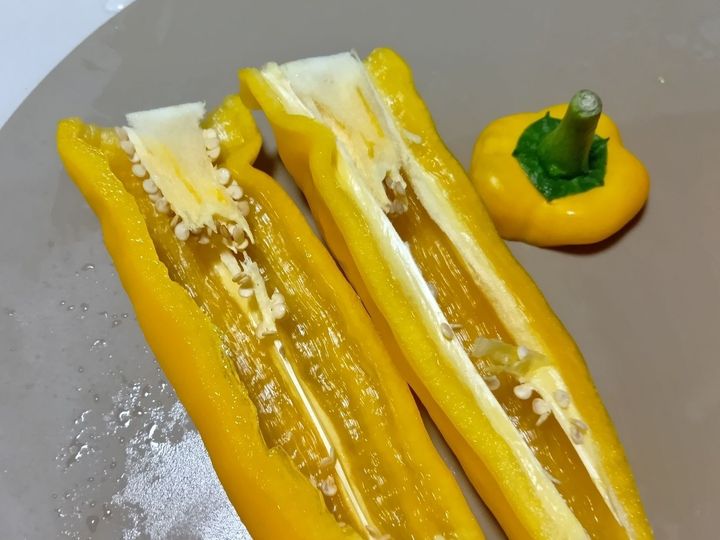 今が旬！変わりパプリカにハマる！道の駅＆ベランダ菜園で楽しむ美味しいパプリカの選び方・見分け方