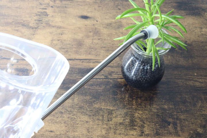 クリアジョウロの細いノズルで観葉植物に水やりしている様子
