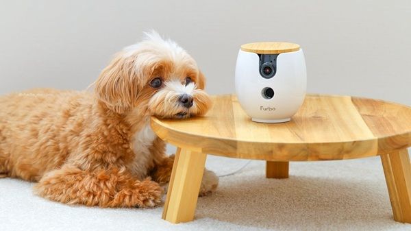 ペットカメラ「Furbo」の11周年大感謝祭開催中！特別価格販売＆豪華賞品プレゼント