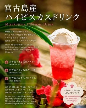 【沖縄県那覇市】わしたショップ国際通り店に“黒糖なのに白い”クリームぜんざい登場！期間限定提供中