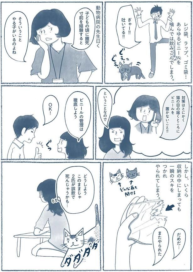ビニールを置かないこと！！ （C）ゆるりまい／KADOKAWA