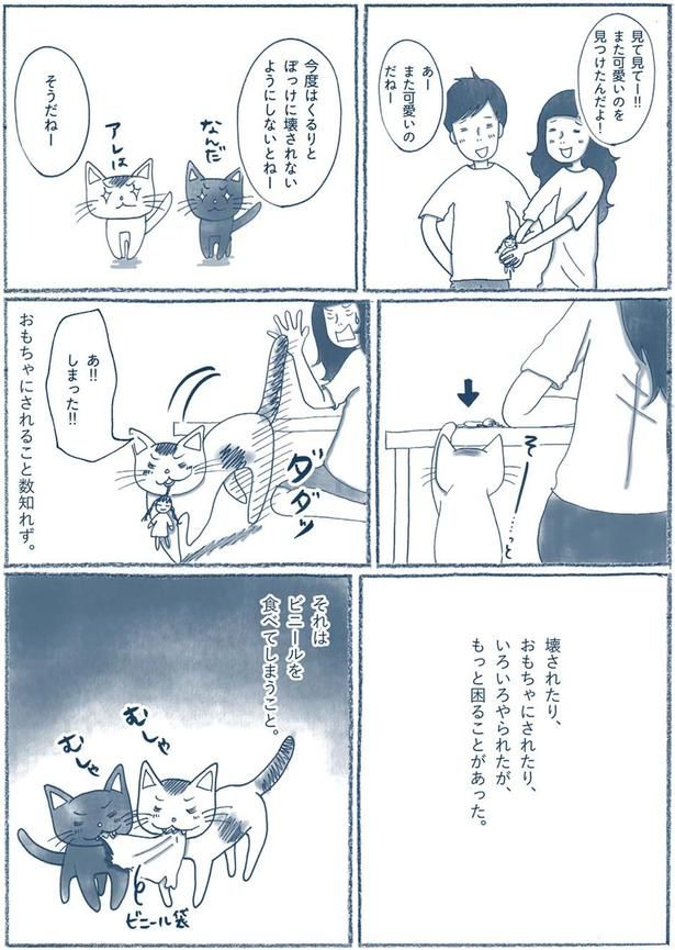あ！！しまった！！ （C）ゆるりまい／KADOKAWA