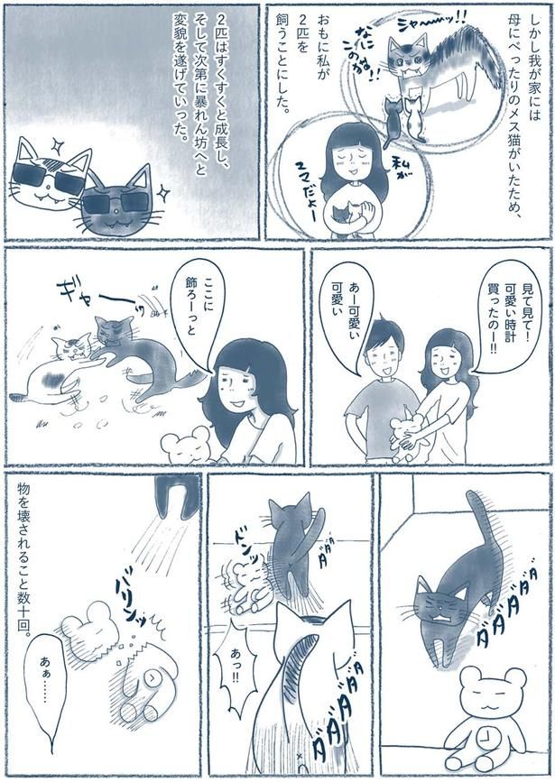 2匹はすくすくと成長し （C）ゆるりまい／KADOKAWA