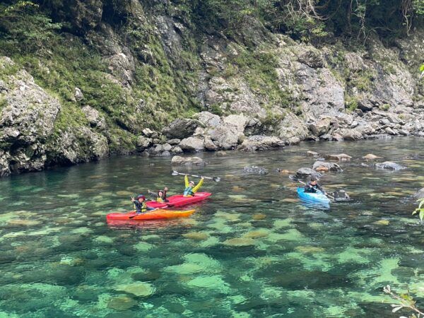 【鹿児島県熊毛郡屋久島町】屋久島観光に新風！エルシティの自然共生型観光事業が本格始動
