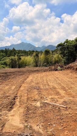 【鹿児島県熊毛郡屋久島町】屋久島観光に新風！エルシティの自然共生型観光事業が本格始動