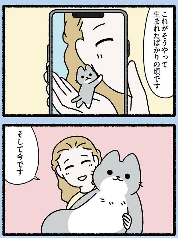 そして今です （C）ぱんだにあ／KADOKAWA
