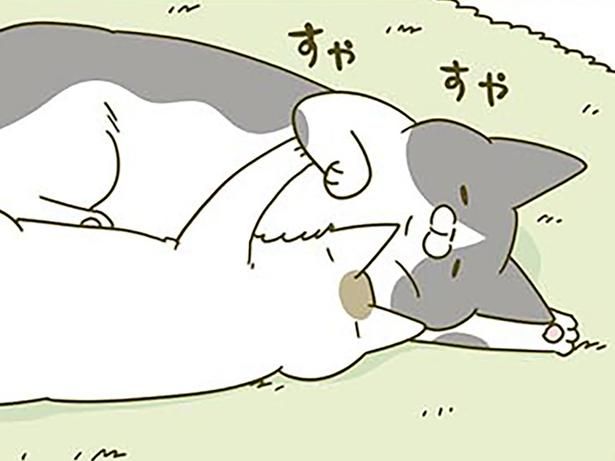 すやすや （C）卵山玉子／KADOKAWA