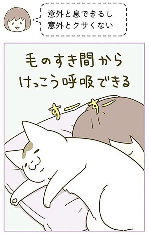 すーすー （C）卵山玉子／KADOKAWA