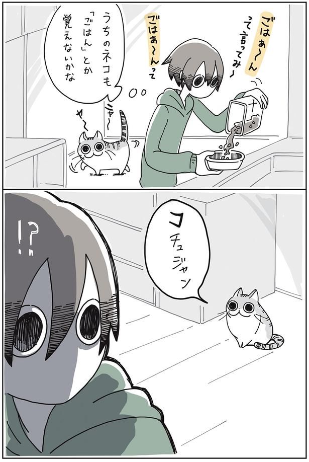 コチュジャン （C）キュルZ／KADOKAWA