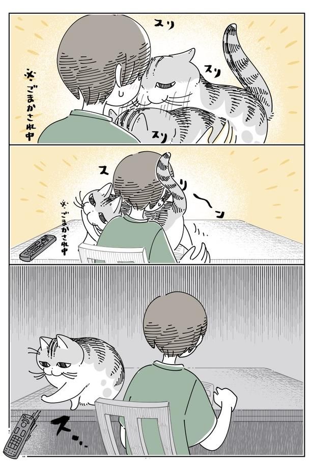 02 画像提供：キュルZ@kyuryuZ