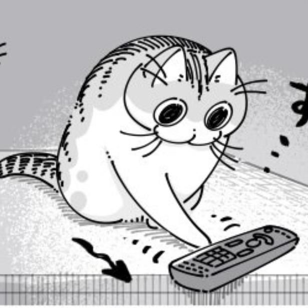 リモコンを落とそうとする猫 画像提供：キュルZ@kyuryuZ