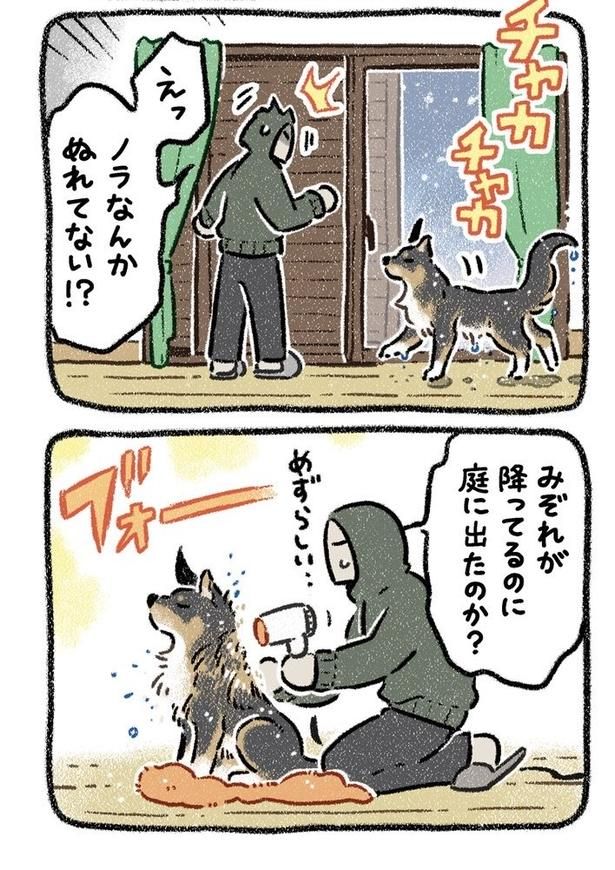 みぞれねこ①02 画像提供：(C)ヨシモフ郎
