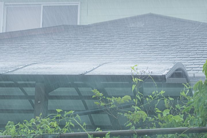 豪雨や台風などで隣家の土砂が流入したり、木が倒れてきたりした場合、勝手に撤去してもよい？（画像はイメージ）