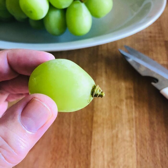 「ぶどう」を買ったらすぐやること！最初にやると美味しさが長持ち♪