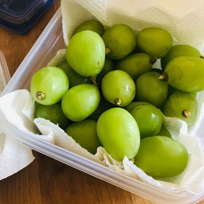 「ぶどう」を買ったらすぐやること！最初にやると美味しさが長持ち♪