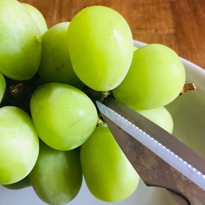 「ぶどう」を買ったらすぐやること！最初にやると美味しさが長持ち♪