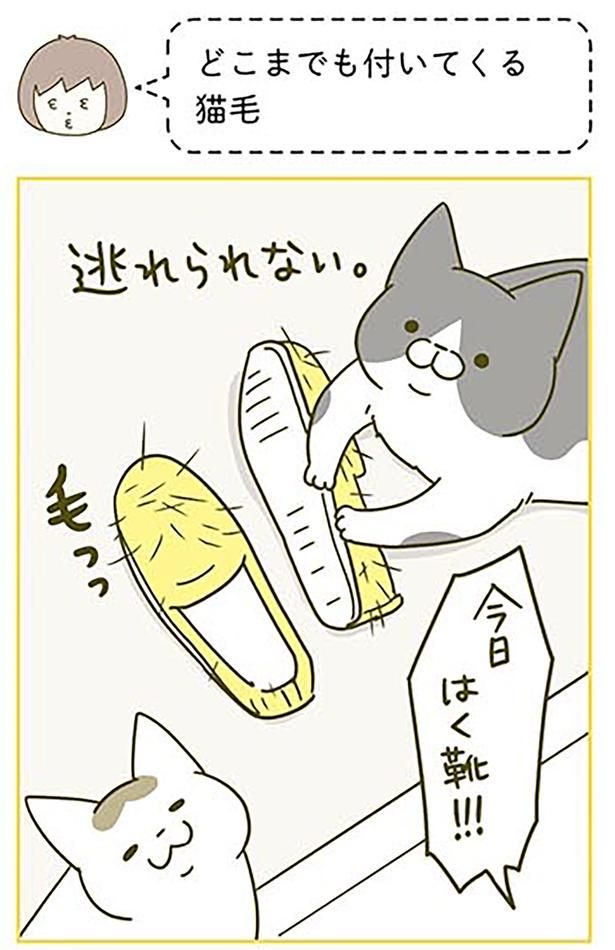 どこまでも付いてくる猫毛 （C）卵山玉子／KADOKAWA