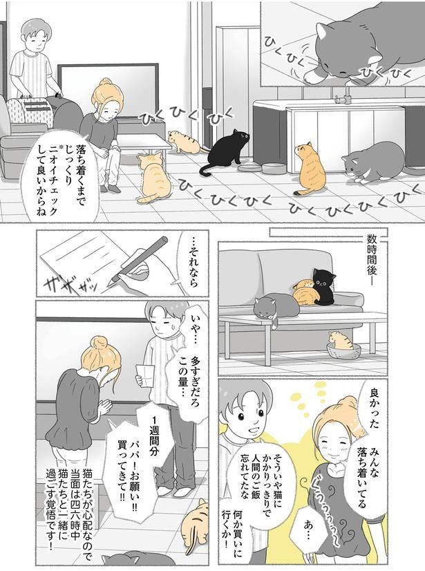 みんな落ち着いてる （C）ゆきよみ、にゃんかつ／KADOKAWA
