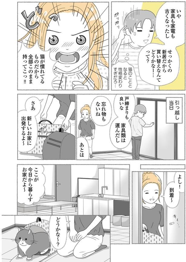 全部このまま持ってこっ！！ （C）ゆきよみ、にゃんかつ／KADOKAWA