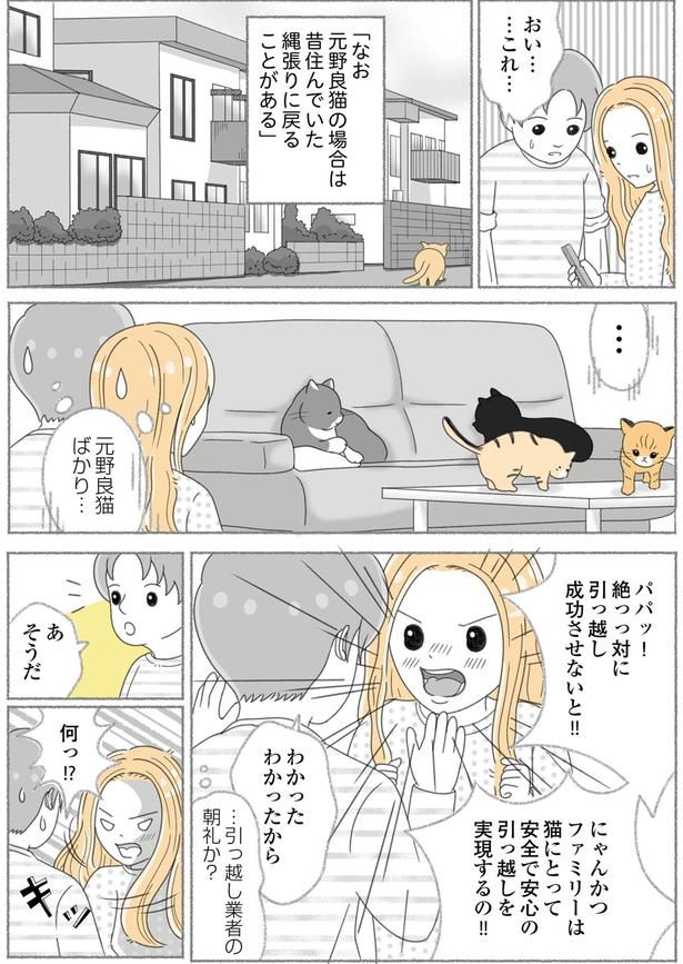 元野良猫ばかり… （C）ゆきよみ、にゃんかつ／KADOKAWA
