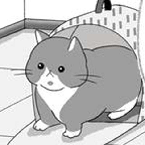 新しい家に引越し （C）ゆきよみ、にゃんかつ／KADOKAWA