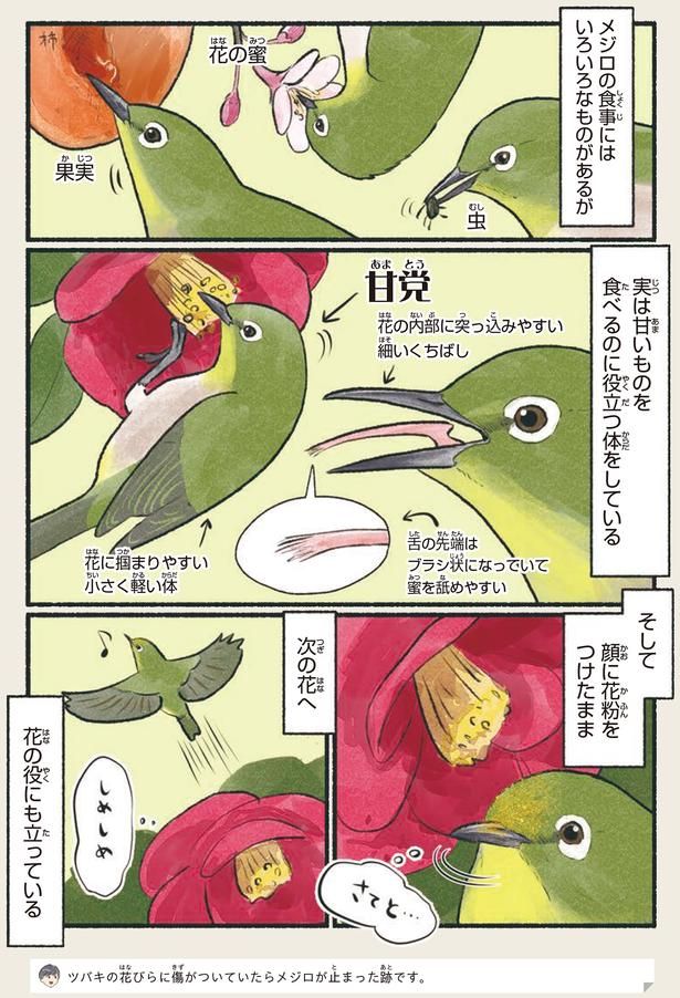 花の役にも立っている （C）piro piro piccolo／KADOKAWA