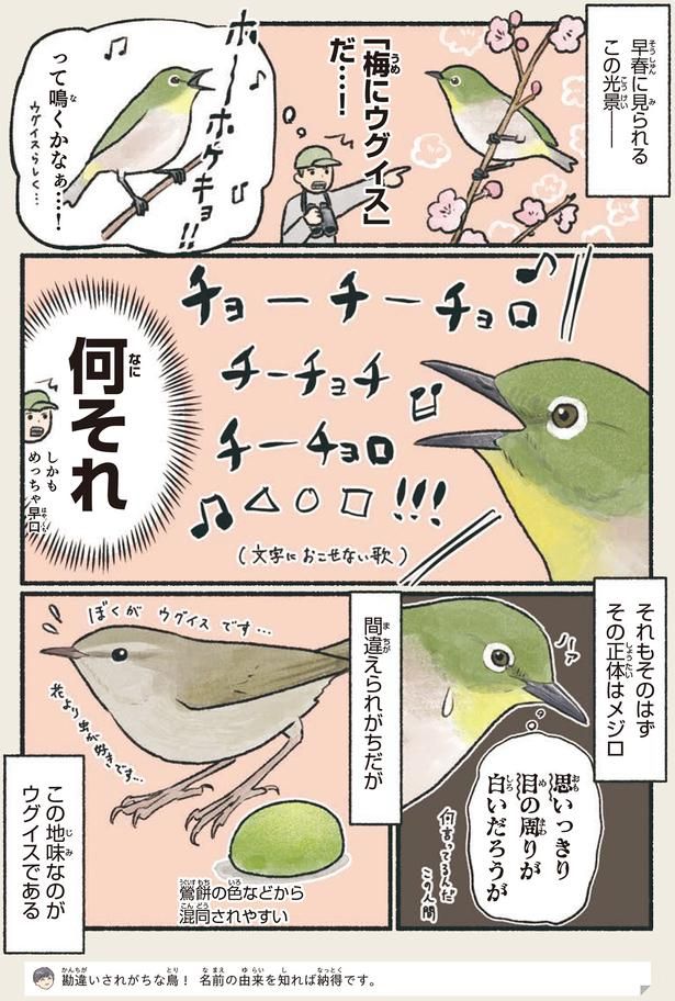 「梅にウグイス」だ…！ （C）piro piro piccolo／KADOKAWA