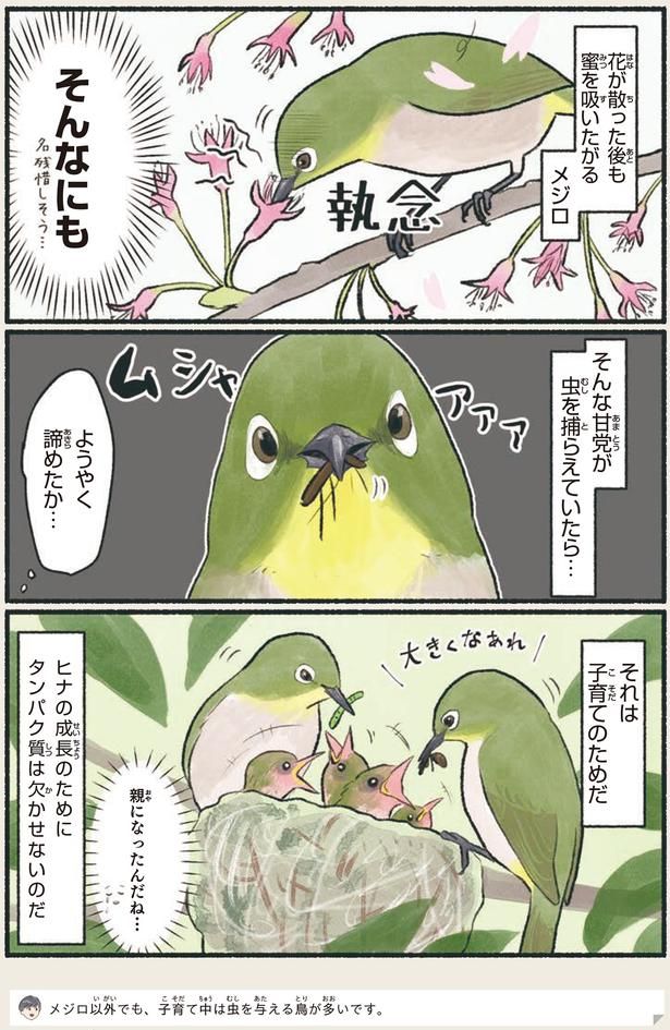 ようやく諦めたか… （C）piro piro piccolo／KADOKAWA
