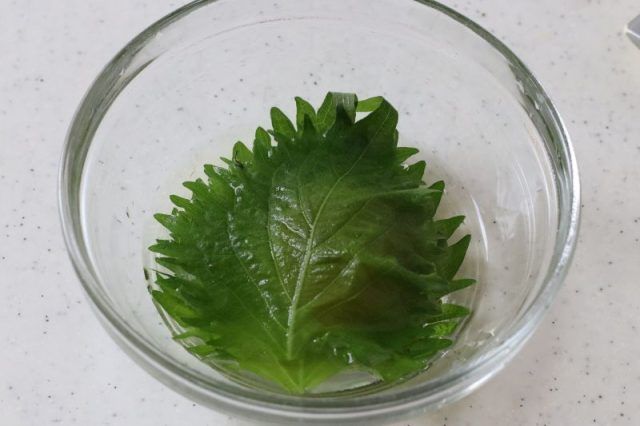 大葉