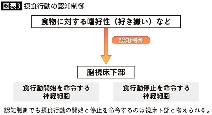 【図表】摂食行動の認知制御