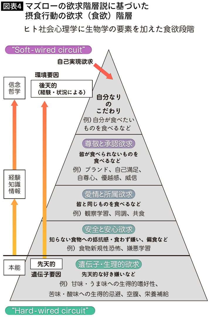 【図表】マズローの欲求階層説に基づいた摂食行動の欲求（食欲）階層