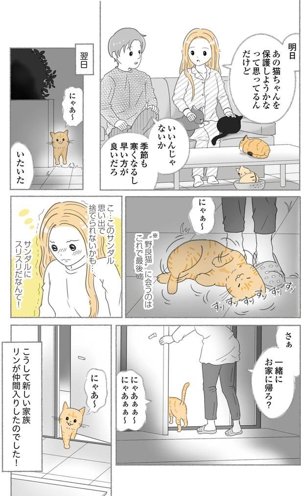 一緒にお家に帰ろ？ （C）ゆきよみ、にゃんかつ／KADOKAWA