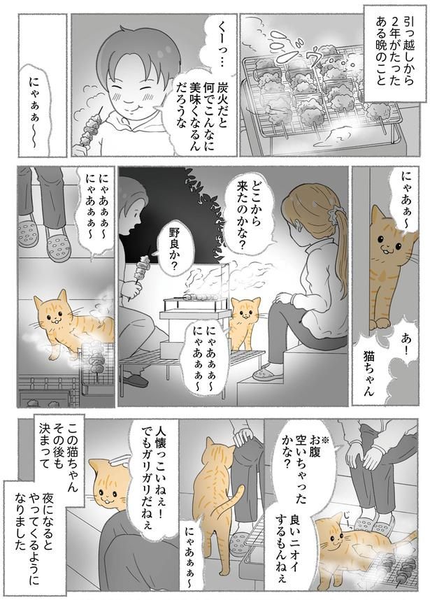 どこから来たのかな？ （C）ゆきよみ、にゃんかつ／KADOKAWA