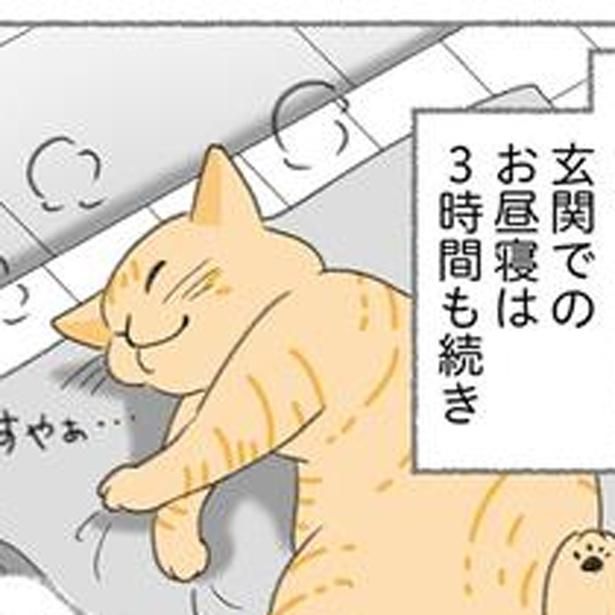 玄関で3時間も爆睡!? （C）ゆきよみ、にゃんかつ／KADOKAWA