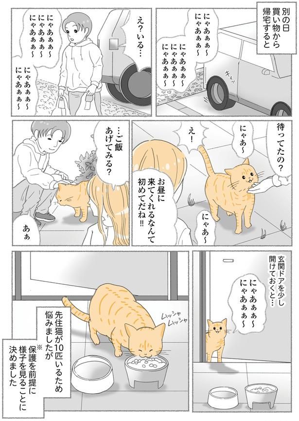 待ってたの？ （C）ゆきよみ、にゃんかつ／KADOKAWA