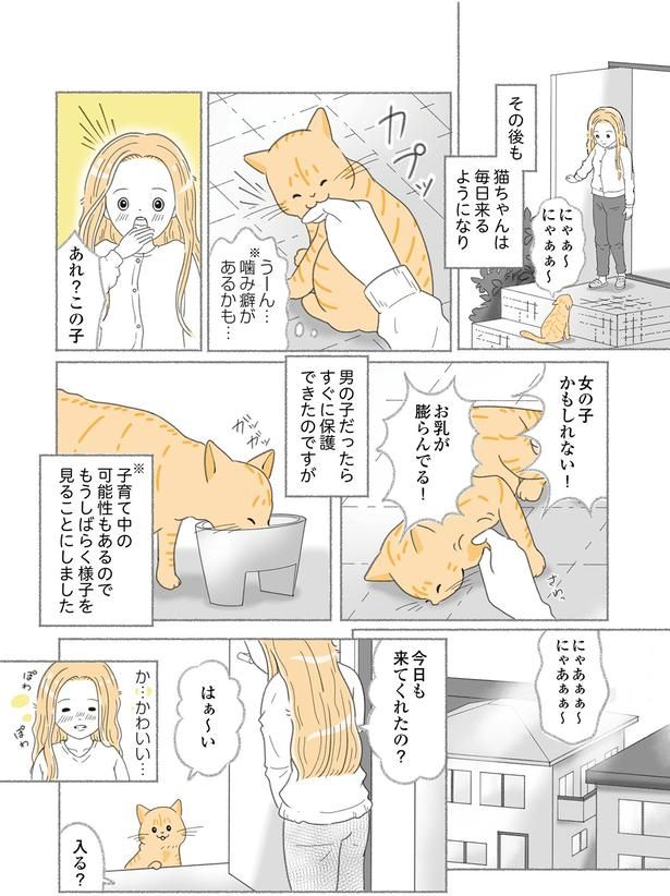 毎日来るようになり （C）ゆきよみ、にゃんかつ／KADOKAWA