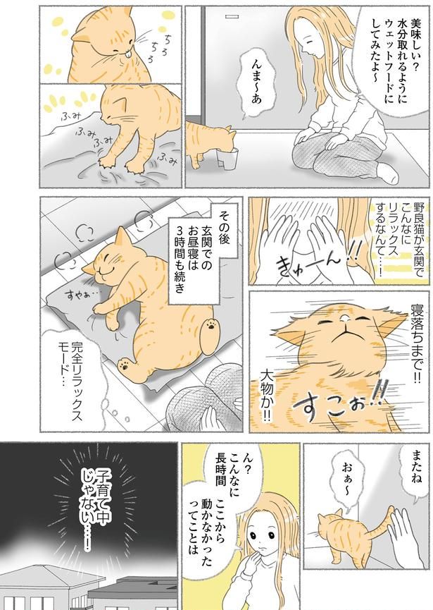 玄関でこんなにリラックスするなんて…！ （C）ゆきよみ、にゃんかつ／KADOKAWA