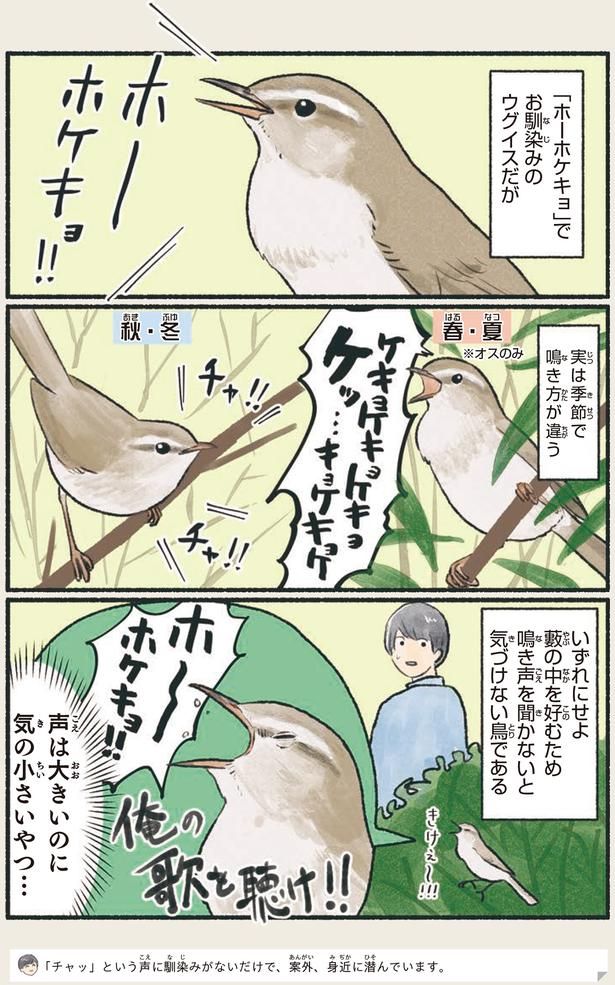 実は季節で鳴き方が違う （C）piro piro piccolo／KADOKAWA