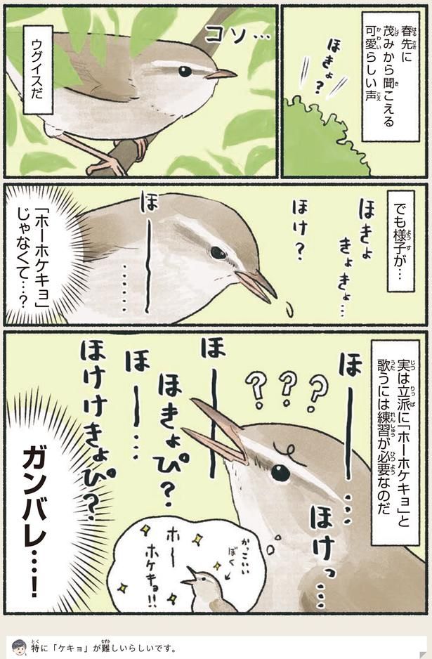 「ホーホケキョ」じゃなくて…？ （C）piro piro piccolo／KADOKAWA