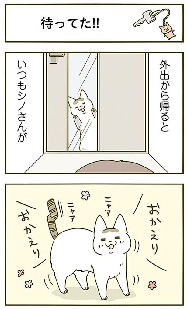 おかえりおかえり （C）卵山玉子／KADOKAWA