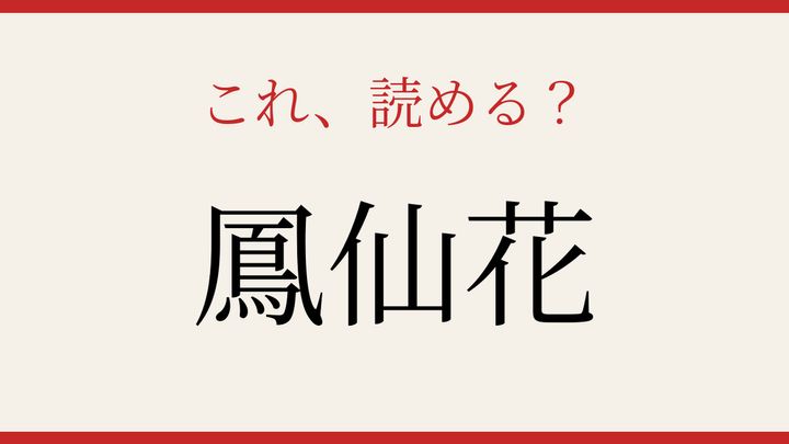 【難読漢字】大人の漢字力チェック！植物の名前を読めますかの問題画像