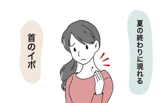イボ イメージカット