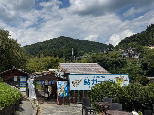  (317157)