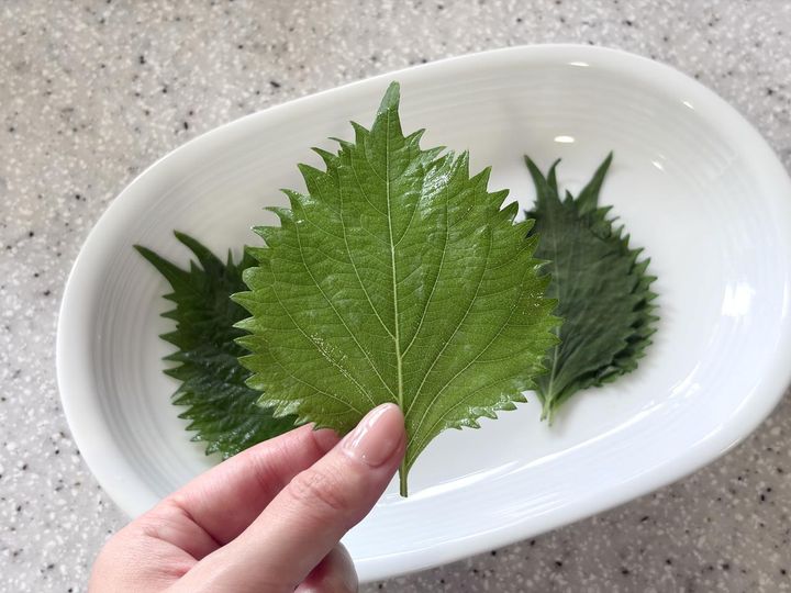 画像: 効果バツグン！ 大葉の保管方法
