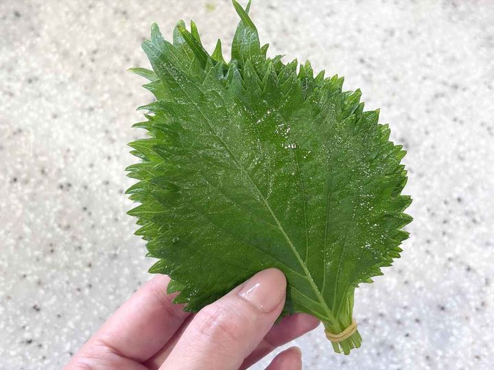 画像: 大葉がすぐにしおれてしまう問題