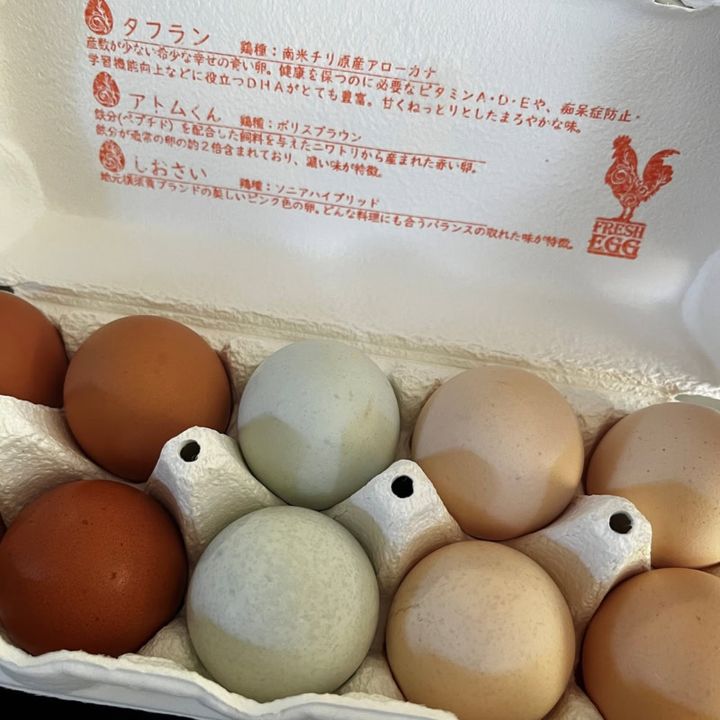 美しい3色の卵たち