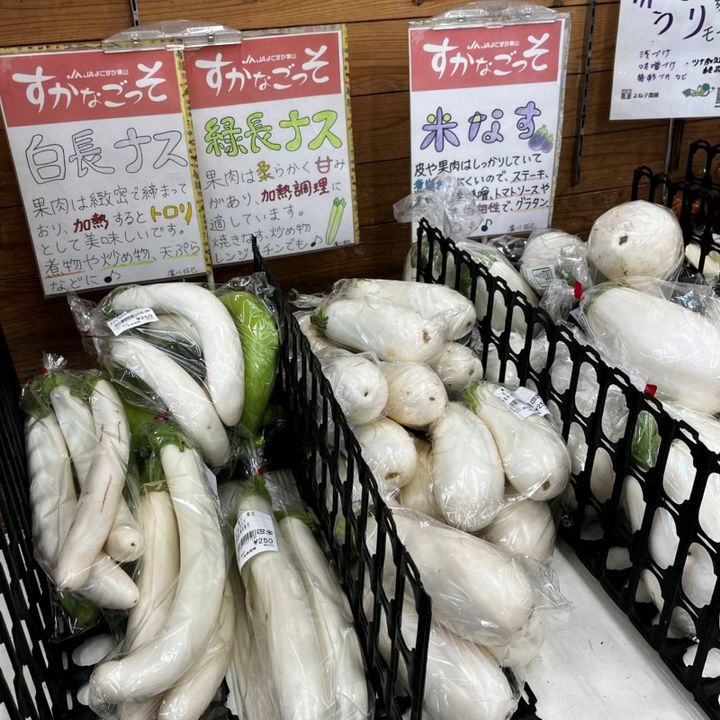 珍しい白いナスは焼くととろとろで美味