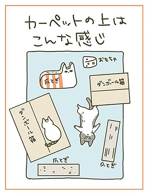 こんな感じ （C）卵山玉子／KADOKAWA