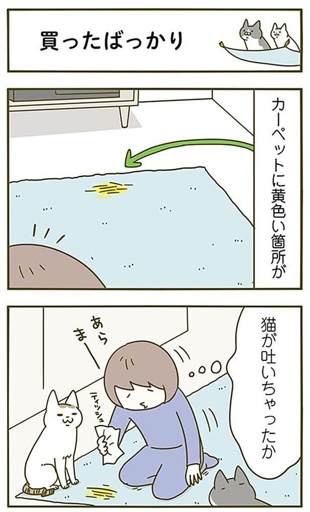 あれっ黄色い箇所が （C）卵山玉子／KADOKAWA